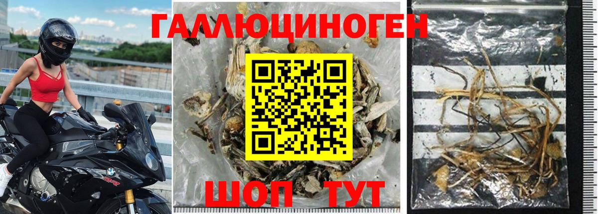 Галлюциногенные грибы ЛСД  Вход с VPN  Старая Купавна 