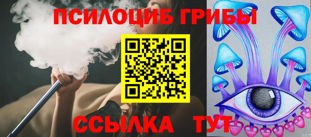 Галлюциногенные грибы Psilocybine cubensis Старая Купавна